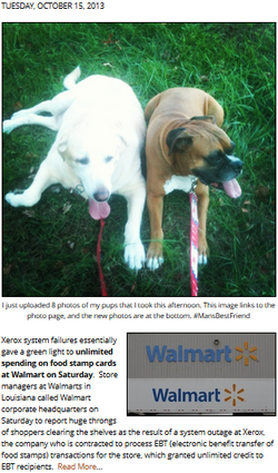 New pictures of my puppies, and a malfunction at WalMart that allowed EBT recipients to go on unlimited shopping sprees.