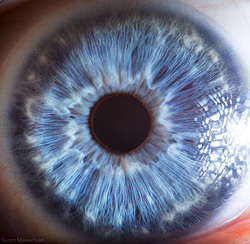 Picture of a blue human eye, extremely close up.
